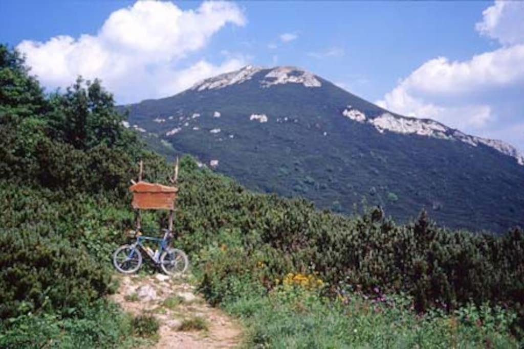 Cozy Rooms In Nature, Perfect For Relax Ilirska Bistrica Exterior foto